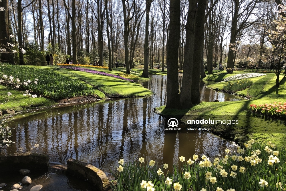 Keukenhof, el parque floral más grande del mundo