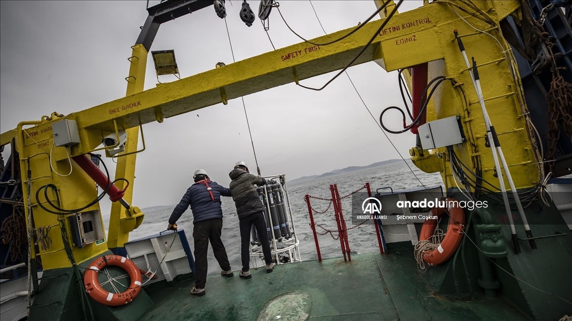 Marmara Denizi'ndeki "oksijen azlığı" alarm veriyor