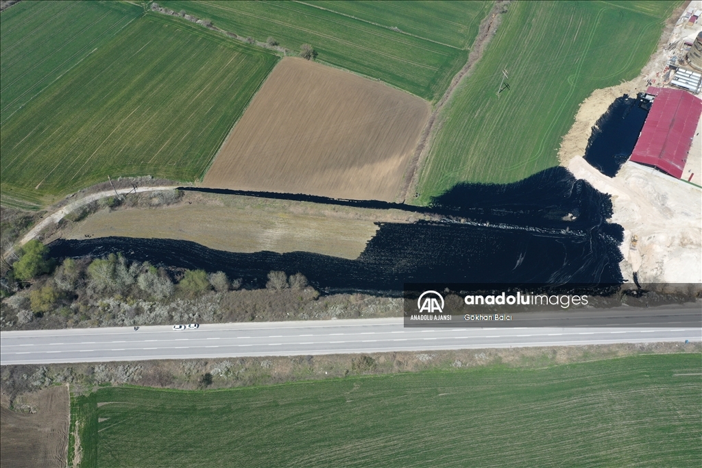 Edirne'de şantiye havuzundan sızan asfalt tarım alanına yayıldı