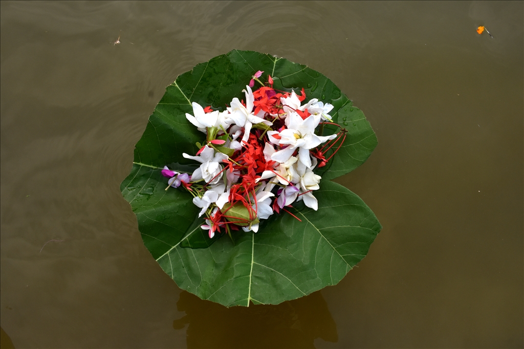 Bangladeş'te Biju festivali