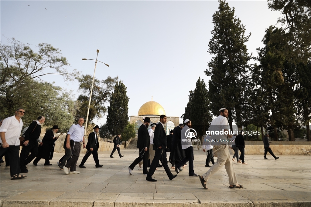 Евреи-фанатики вновь вторглись в мечеть «Аль-Акса»