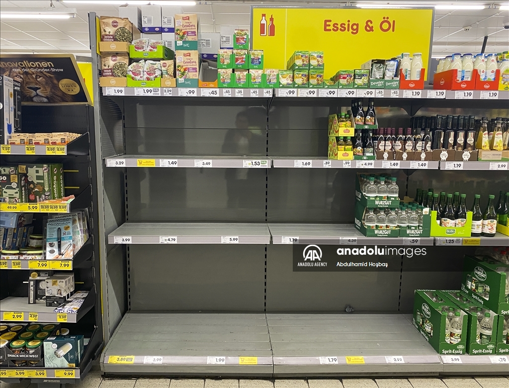 Impact of Russia-Ukraine war on grain and sunflower oil supply chain in Germany