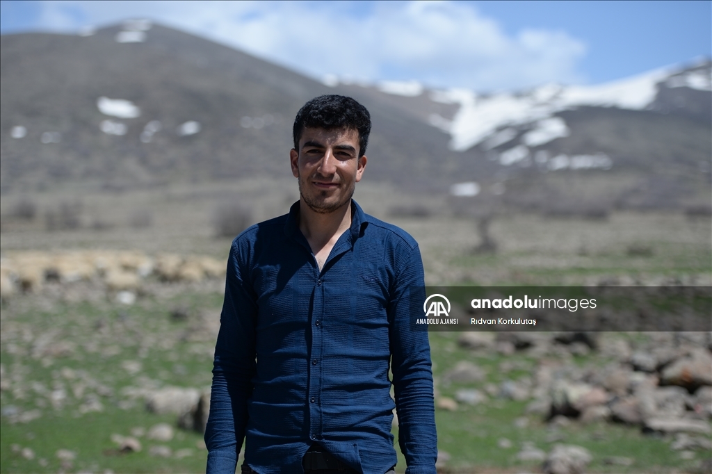 Bingöl yaylaları ömürleri hayvanlarının peşinde geçen göçerleri ağırlıyor