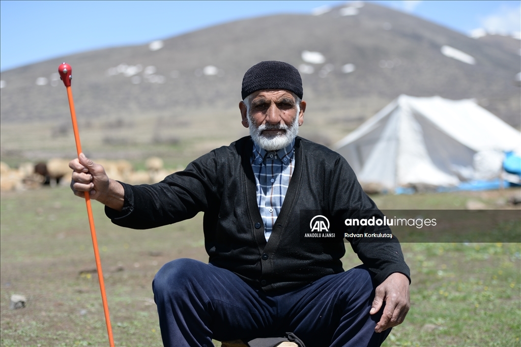 Bingöl yaylaları ömürleri hayvanlarının peşinde geçen göçerleri ağırlıyor