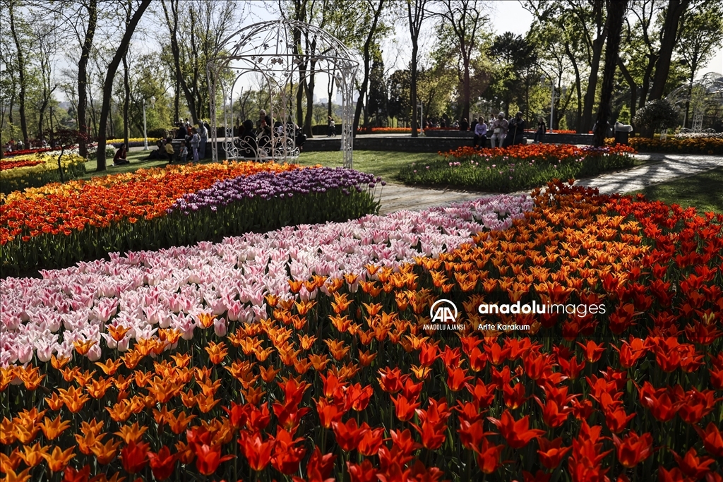 Emirgan Korusu'nda lale zamanı