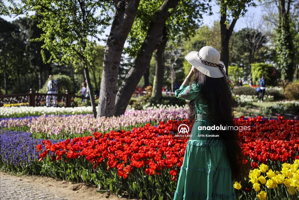 Emirgan Korusu'nda lale zamanı