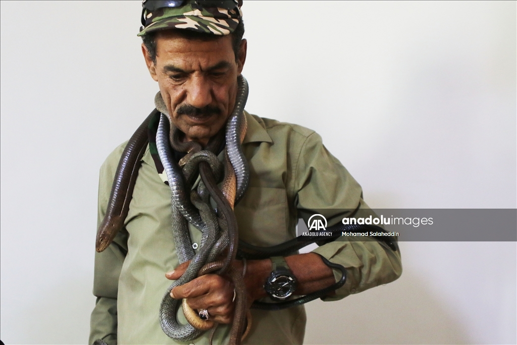 ياسين الصقور.. أردني "يعشق" الأفاعي ويعيش معها