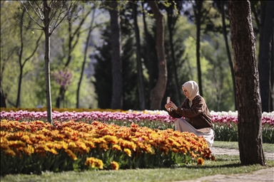 Bunga tulip bermekaran di Taman Emirgan di Istanbul, Turki