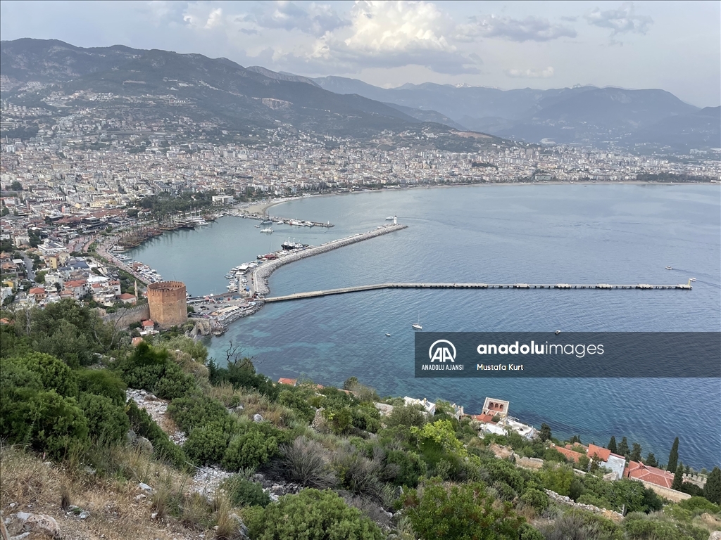 Alanya Kalesi tarihi özelliklerinin yanı sıra bitki türleriyle de dikkati çekiyor