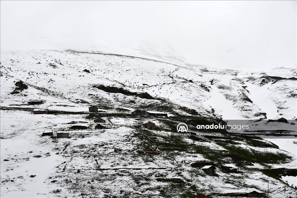 برف بهاری پارک طبیعت «دریاچه لیمنی» ترکیه را سفیدپوش کرد