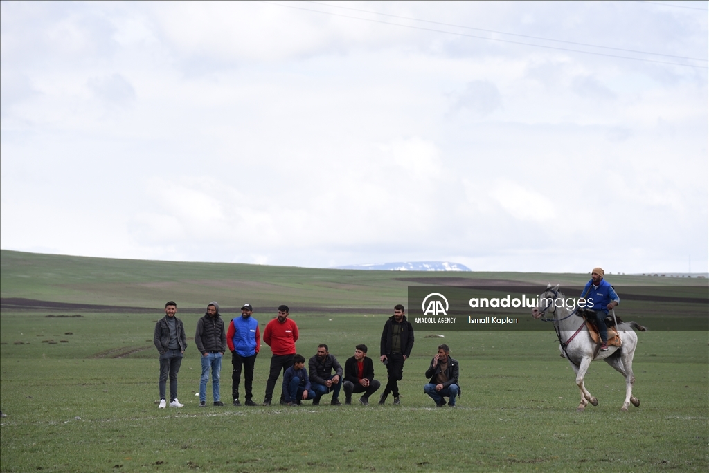 Cirîdbazan vê carê li deşta hêşîn hesp bezandin