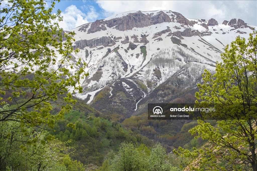 Tunceli'nin Yaylalarında Ilkbahar Ve Kış Manzaraları Bir Arada