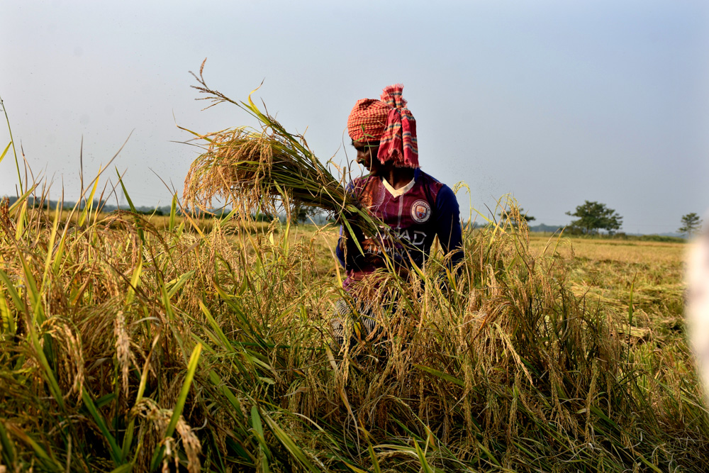 La vida de los campesinos en Bangladesh