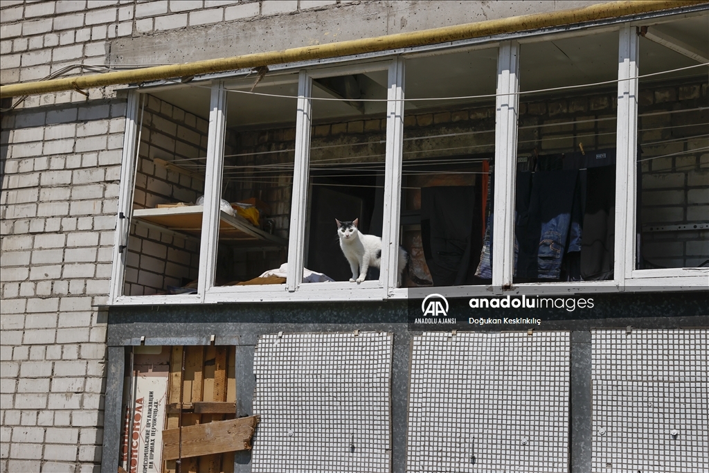 Çernigiv’de savaşın izleri arasında yaşam mücadelesi