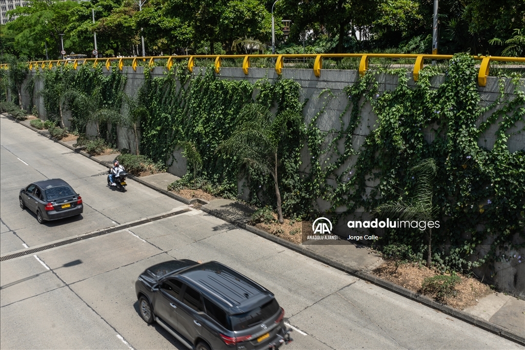 Medellin yeşil duvarlı eko-şehir modeliyle rekorlar kitabına girmek istiyor