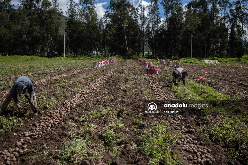 Kolombiya'da Dünya Çiftçiler Günü