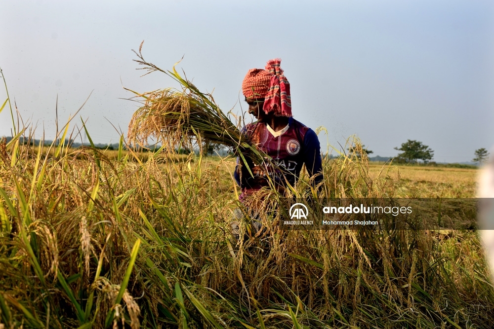 La vida de los campesinos en Bangladesh