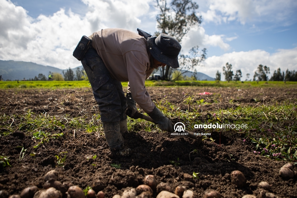 Los agricultores de Colombia
