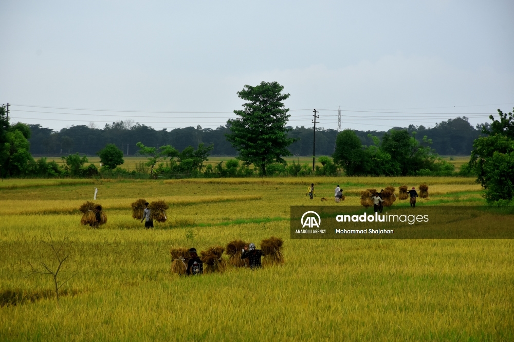 La vida de los campesinos en Bangladesh