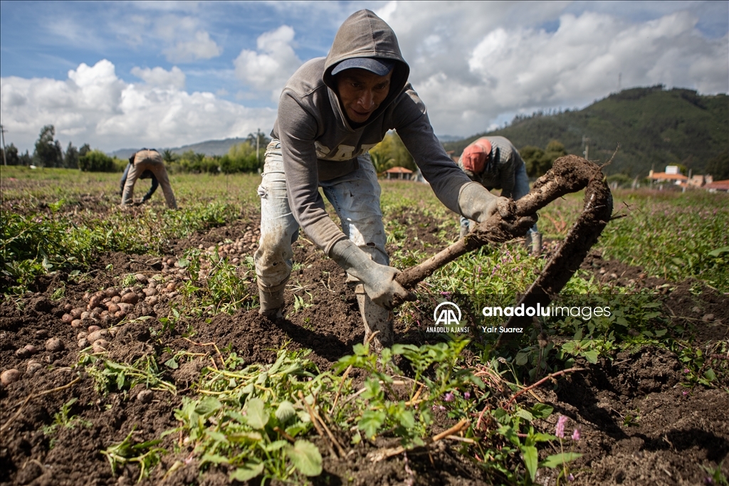 Kolombiya'da Dünya Çiftçiler Günü