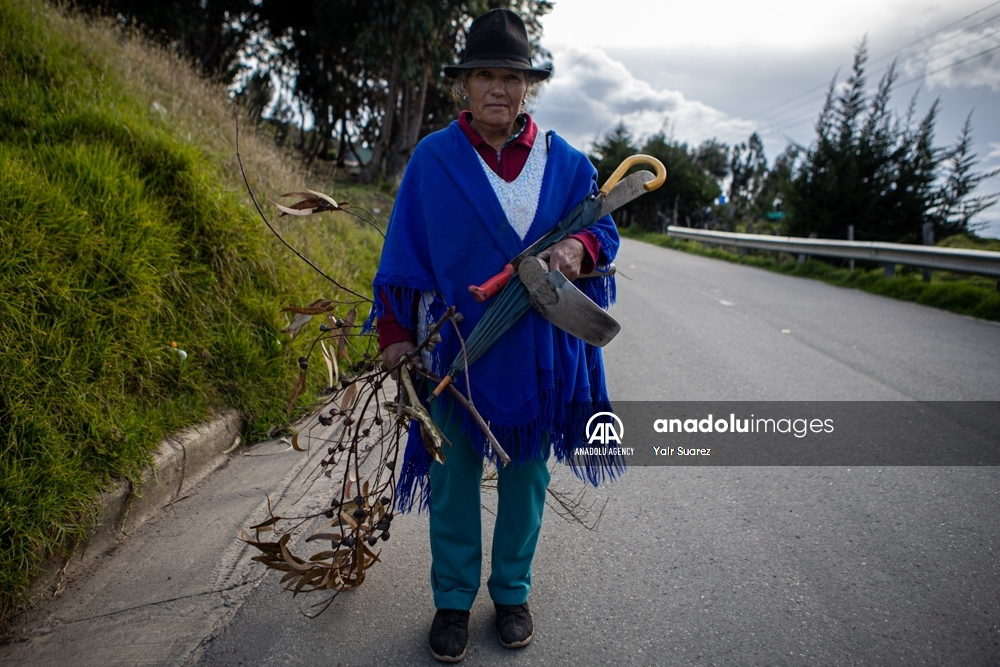 Los agricultores de Colombia