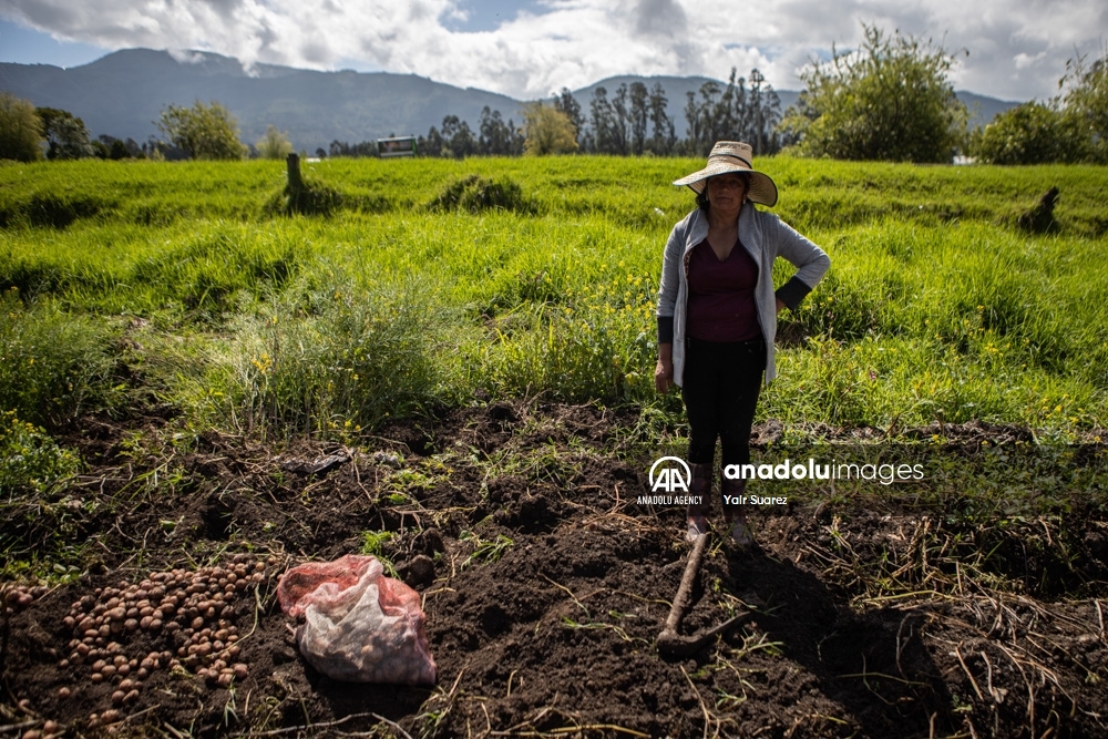 Los agricultores de Colombia