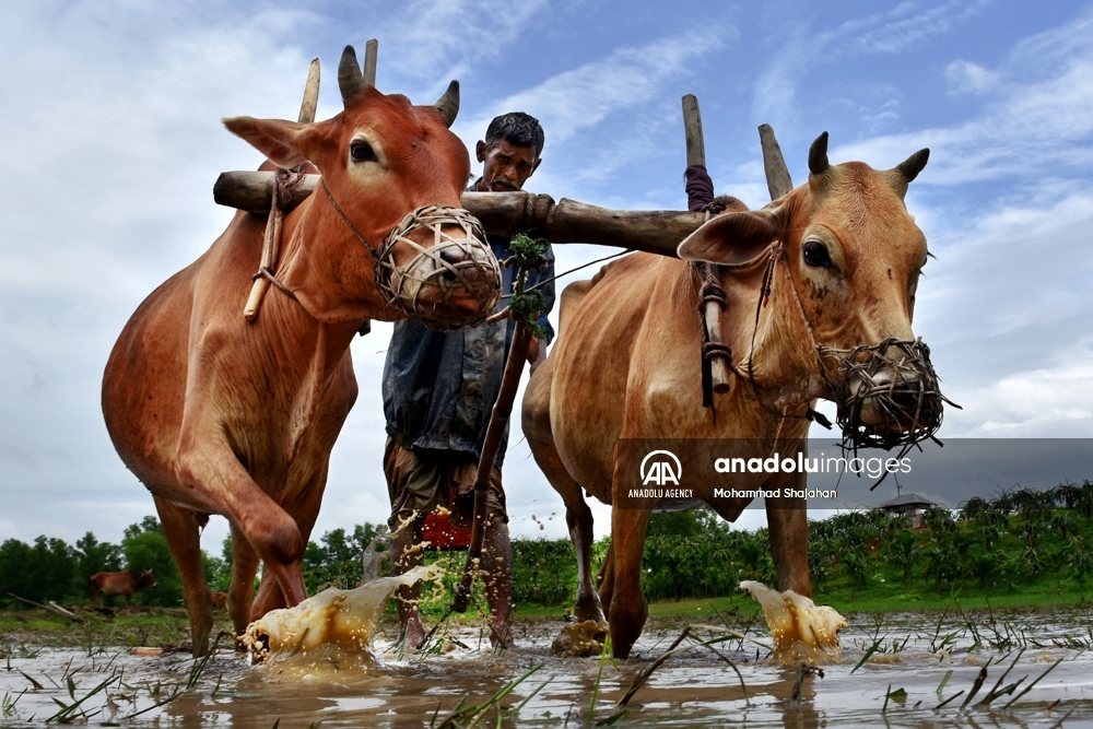 La vida de los campesinos en Bangladesh