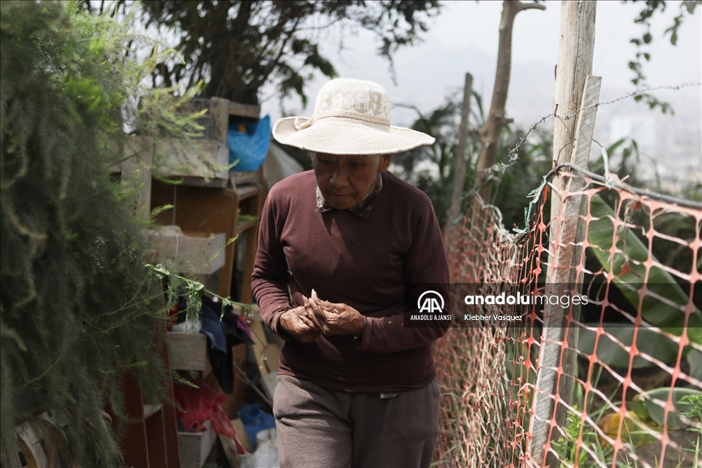 Peru'da Dünya Çiftçiler Günü