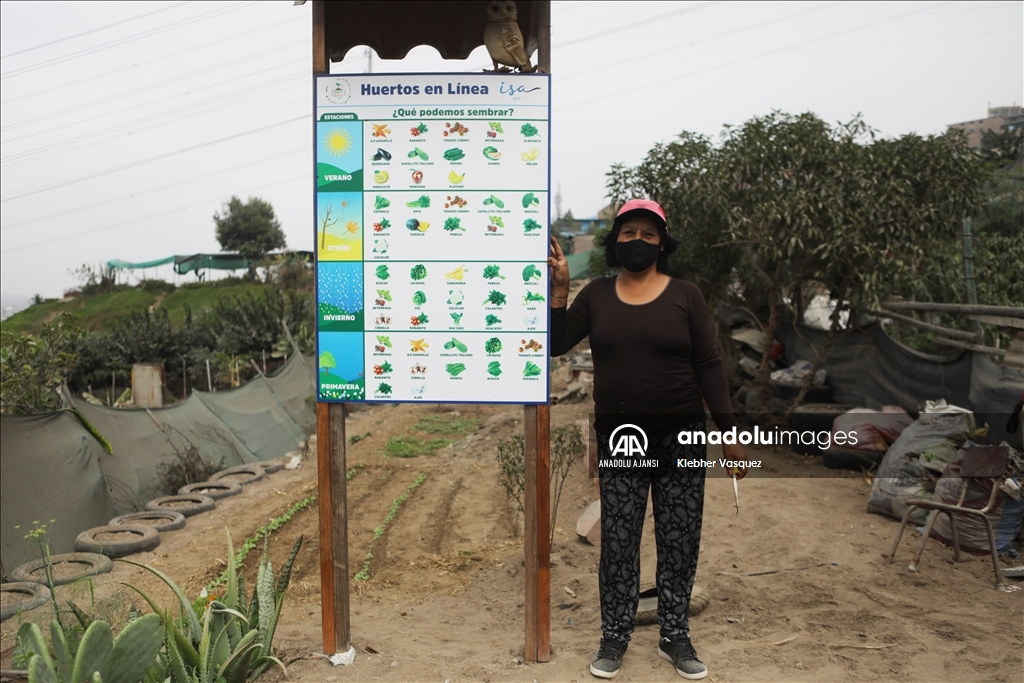 Peru'da Dünya Çiftçiler Günü