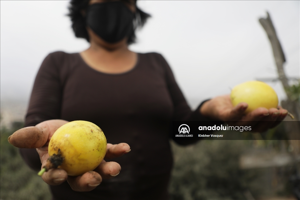Peru'da Dünya Çiftçiler Günü
