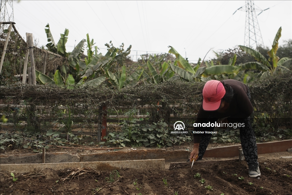 Peru'da Dünya Çiftçiler Günü
