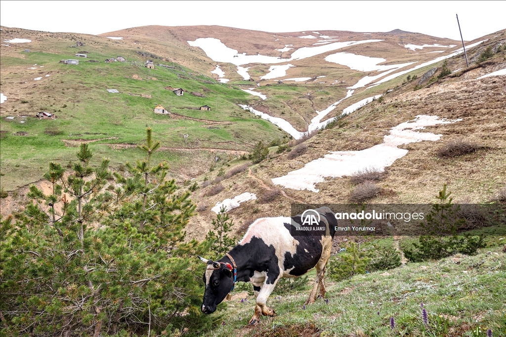 Limni Gölü sezonun ilk turistlerini ağırlıyor