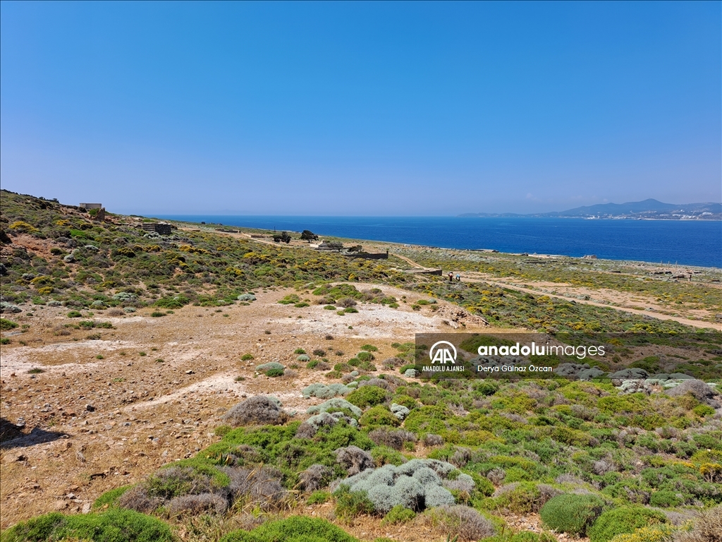 Uzun Ada: Yunanistan'da bir sürgün ve karantina adası