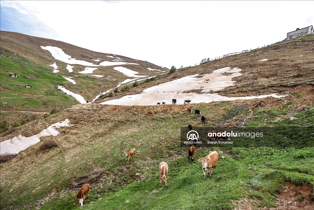 Limni Gölü sezonun ilk turistlerini ağırlıyor