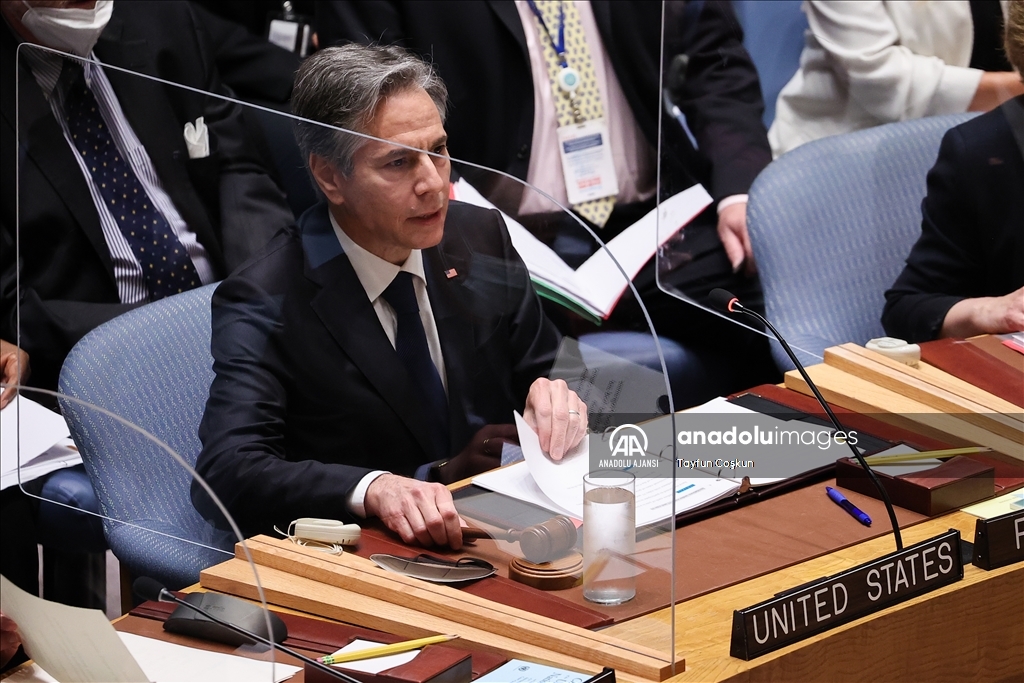 Birleşmiş Milletler Güvenlik Konseyi Toplantısı
