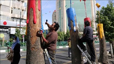 درختان خشک تهران به تندیس تبدیل شدند