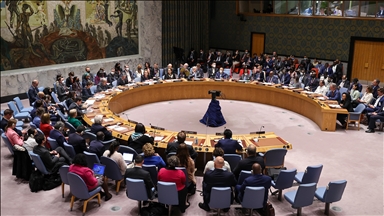  Birleşmiş Milletler Güvenlik Konseyi Toplantısı