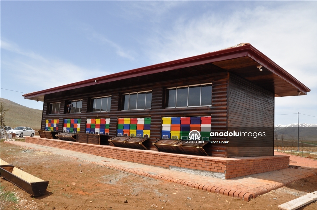 Lavanta tarlasına kurulan "Arı evi", rengarenk kovanlarıyla ilgi çekiyor