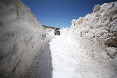 Ordu'da 2 bin rakımlı Çambaşı Yaylası'nda karla mücadele sürüyor