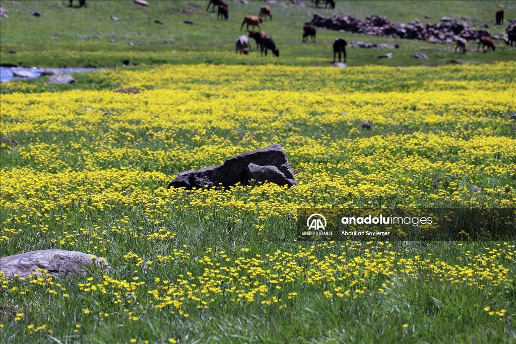 Balık Gölü kar sularıyla doldu