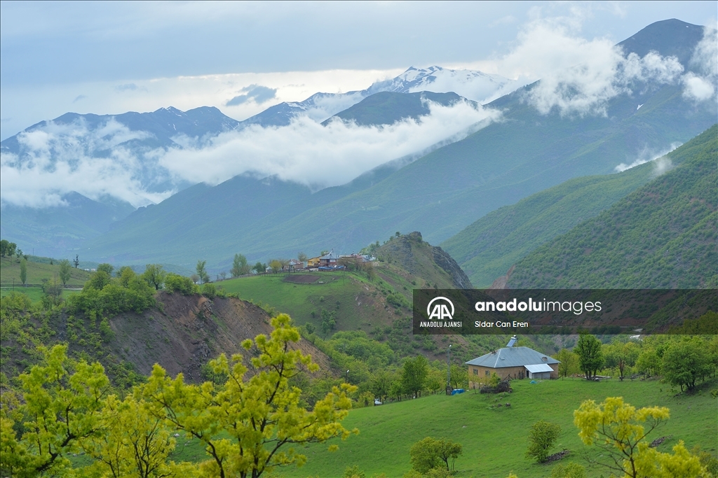 Tunceli'nin 3 bin rakımlı dağ köyleri yeşile büründü