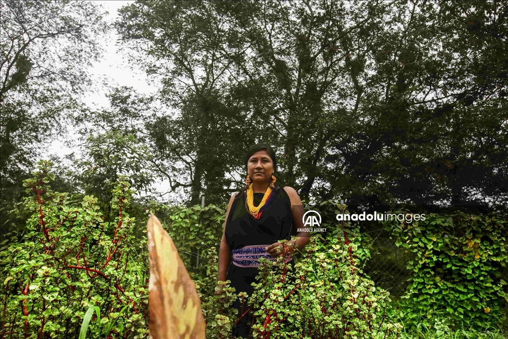 Los indígenas inga, los defensores de las sagradas tradiciones en Colombia 1