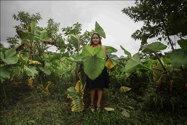 Los indígenas inga, los defensores de las sagradas tradiciones en Colombia