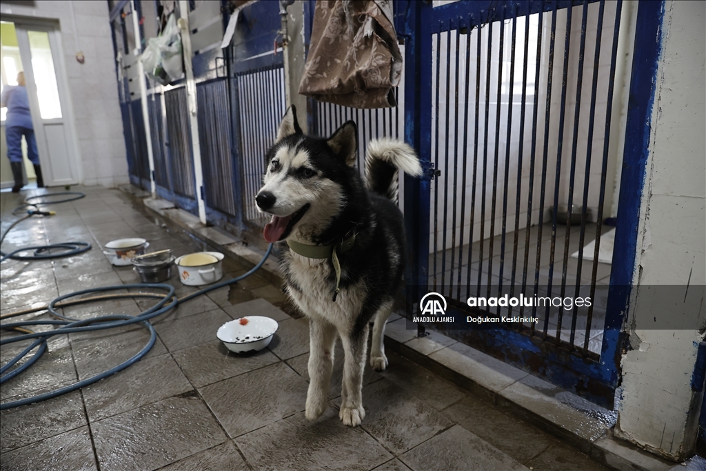 Ukrayna’daki savaşın masum canları, Kiev’de tedavi altında