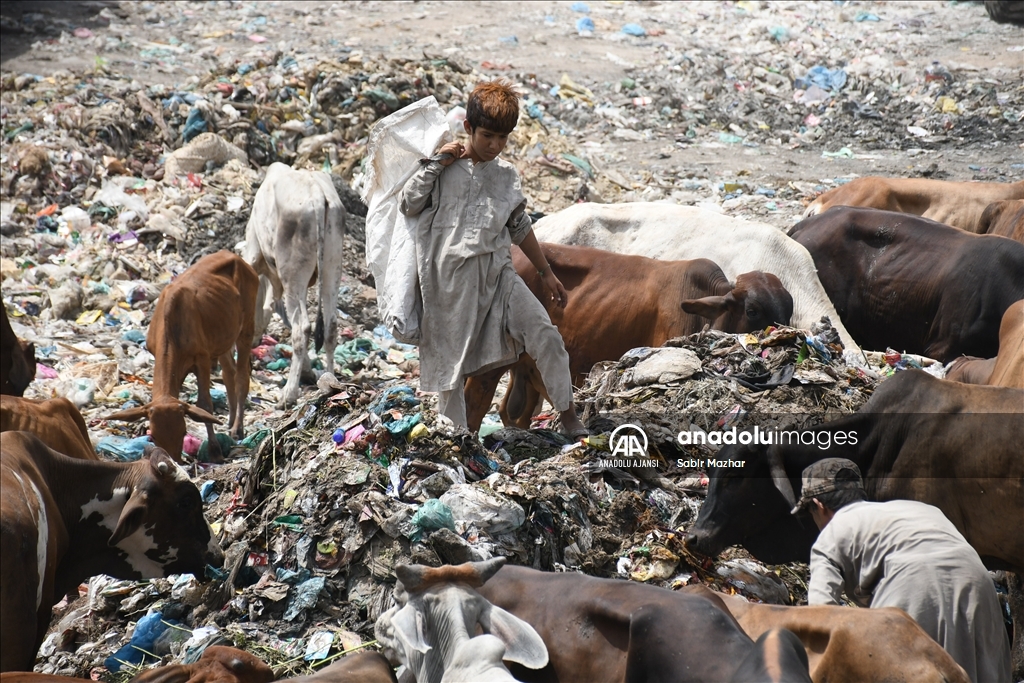 Pakistan'da Dünya Çevre Günü