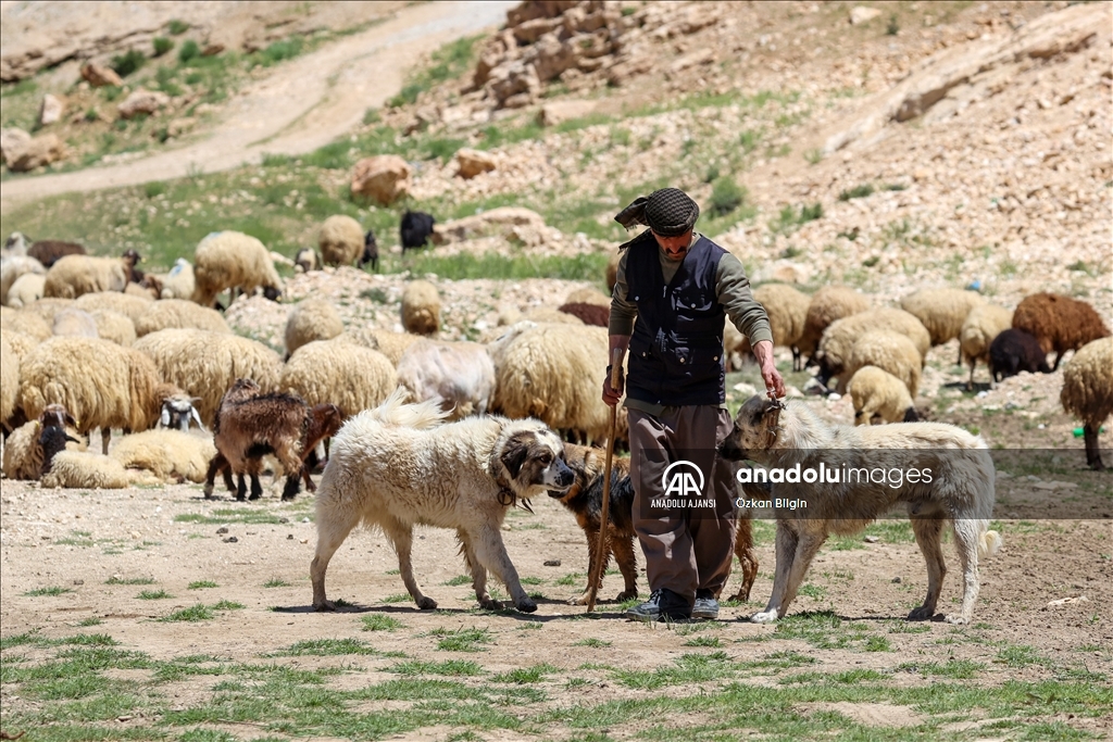 Zamanın tanığı tarihi Kelekom Köprüsü halen ilk günkü gibi ayakta