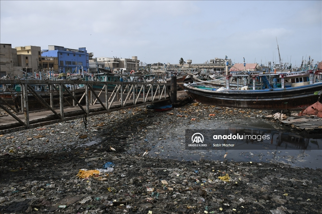 Pakistan'da Dünya Çevre Günü