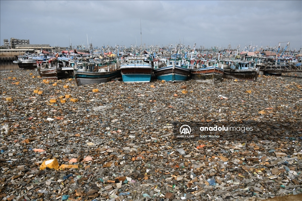 Pakistan'da Dünya Çevre Günü