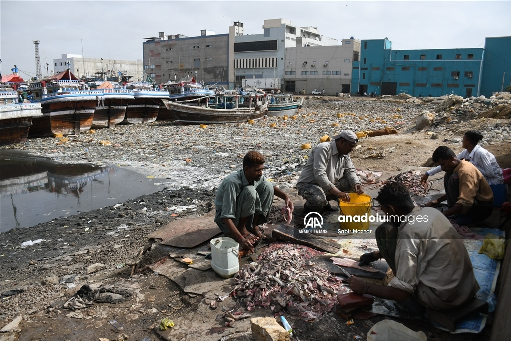 Pakistan'da Dünya Çevre Günü