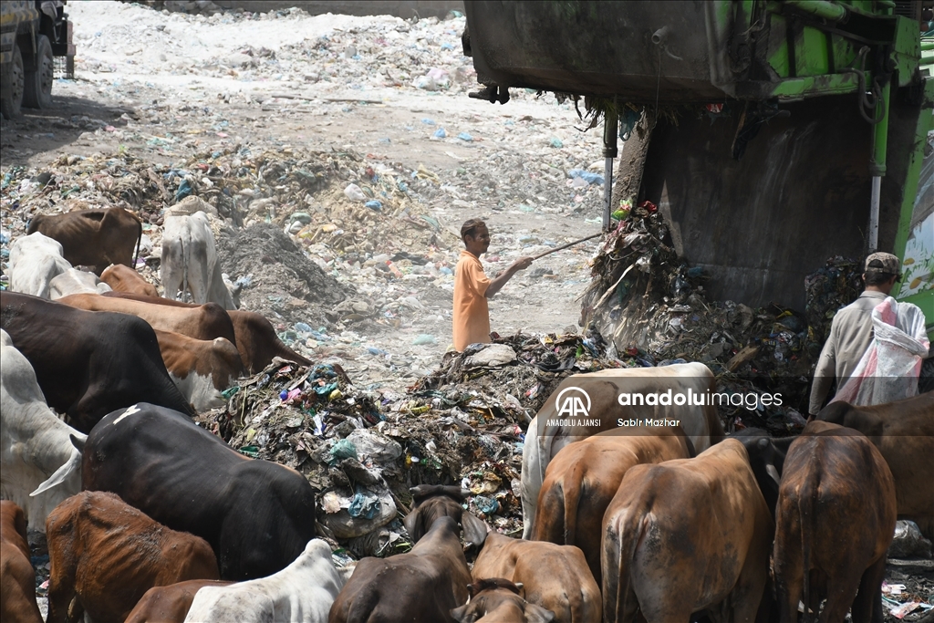 Pakistan'da Dünya Çevre Günü